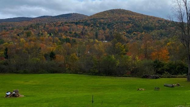 picture of green landscapes, mountains, and trees.